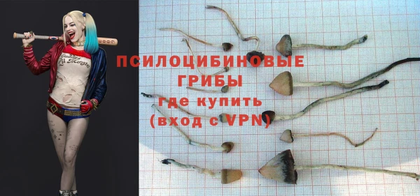 соль ск Алексин