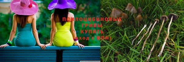 хмурый Алзамай