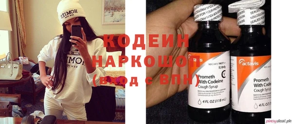 хмурый Алзамай