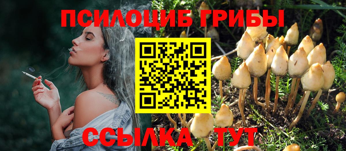 Ипатово  Псилоцибиновые грибы GOLDEN TEACHER  Вход с VPN 